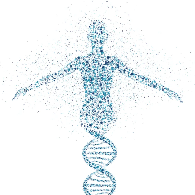 Image showing DNA helix transforming into a human body illustration