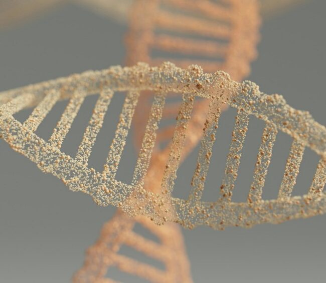 DNA 3d image
